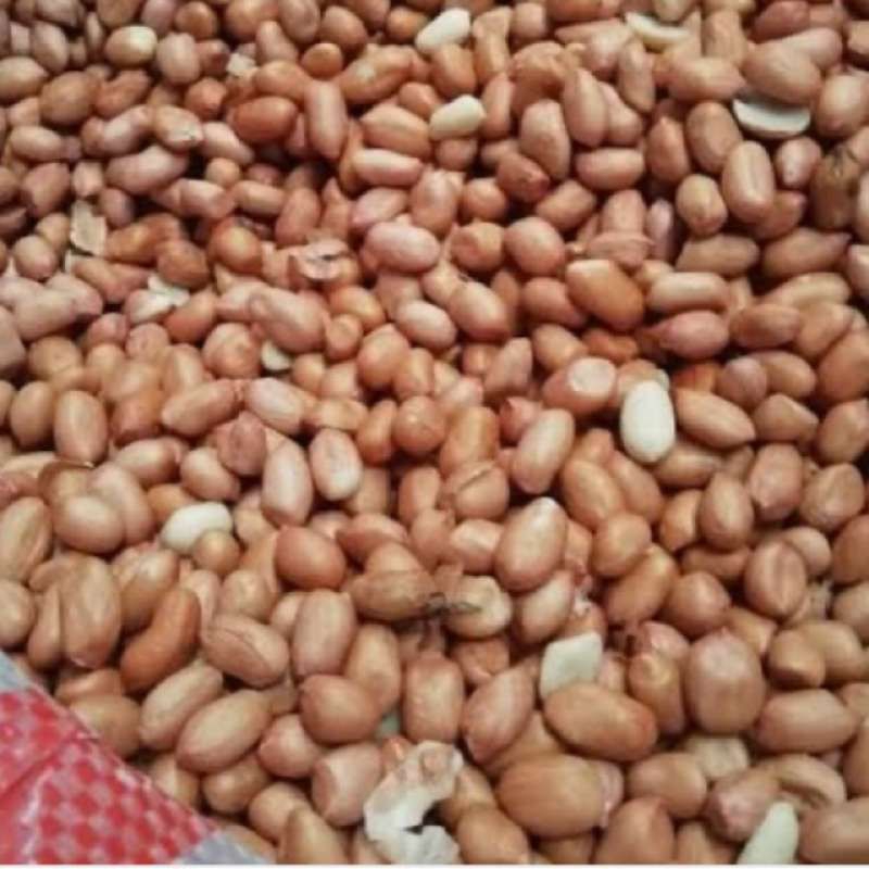 

Kacang Tanah 250 gram, 500 gram, 1 kilo