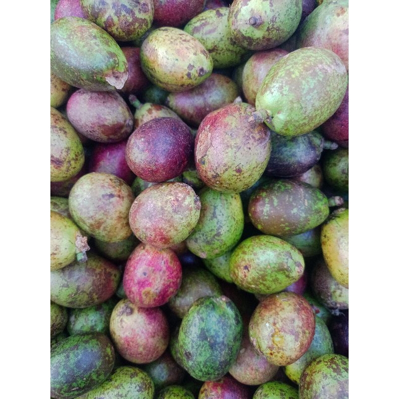 

Buah Matoa 1kg
