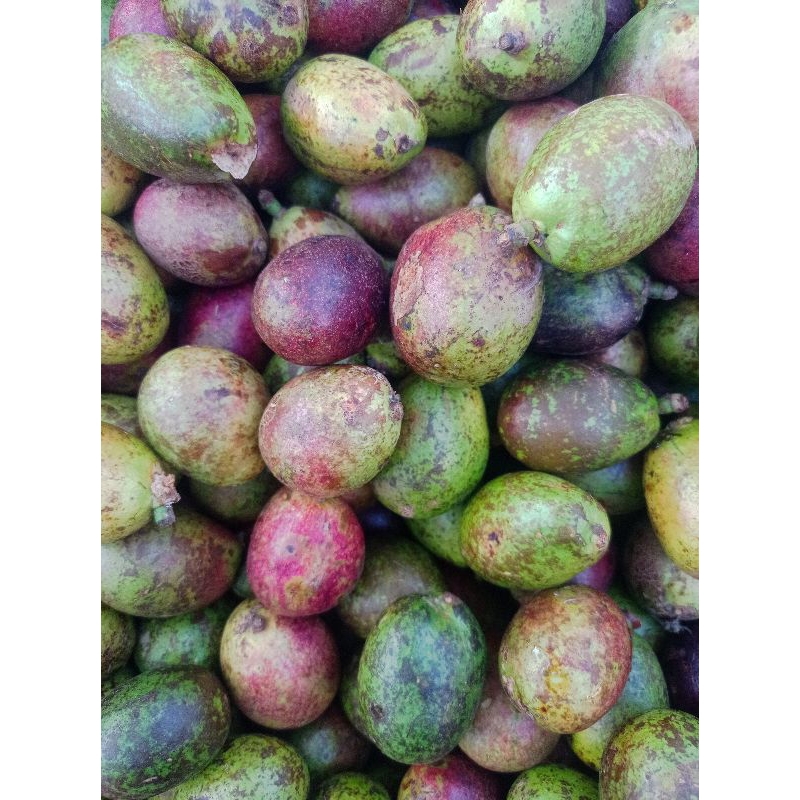 Buah Matoa 1kg