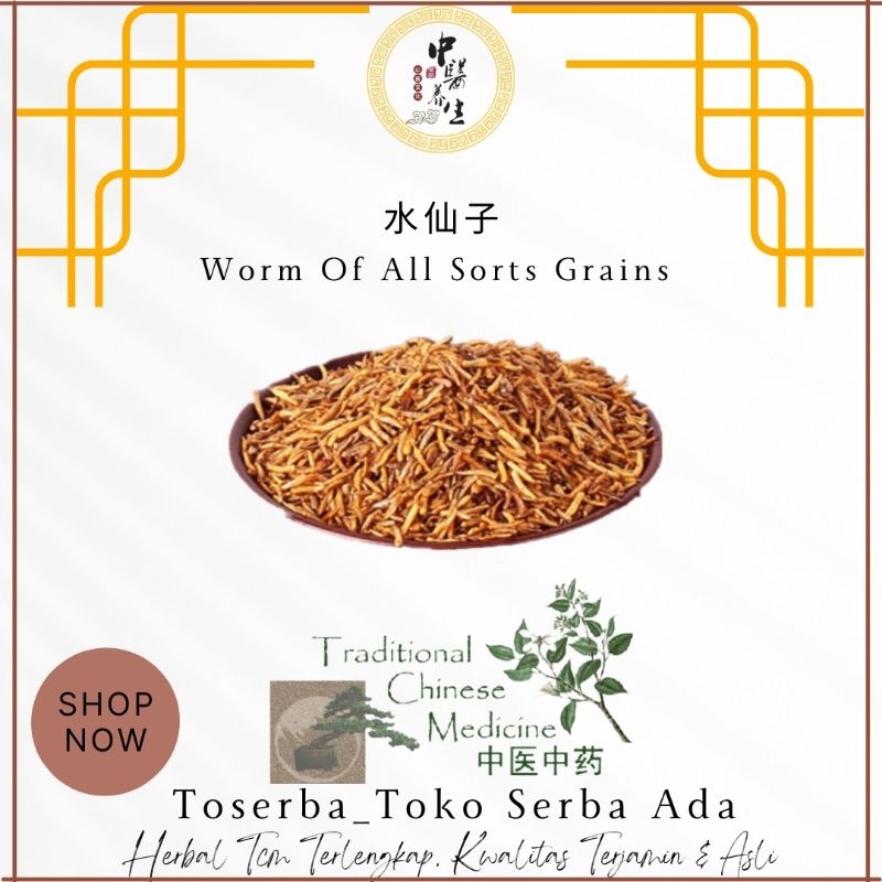 

100gr Shui Xian Zi 水仙子 Worm Of All Sorts Grains