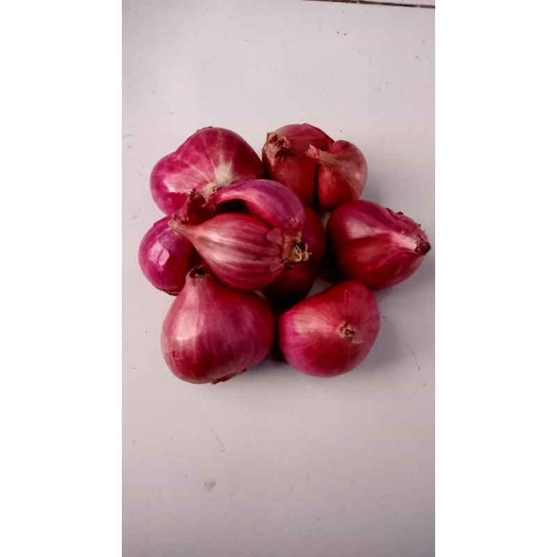 

Bawang Merah Super