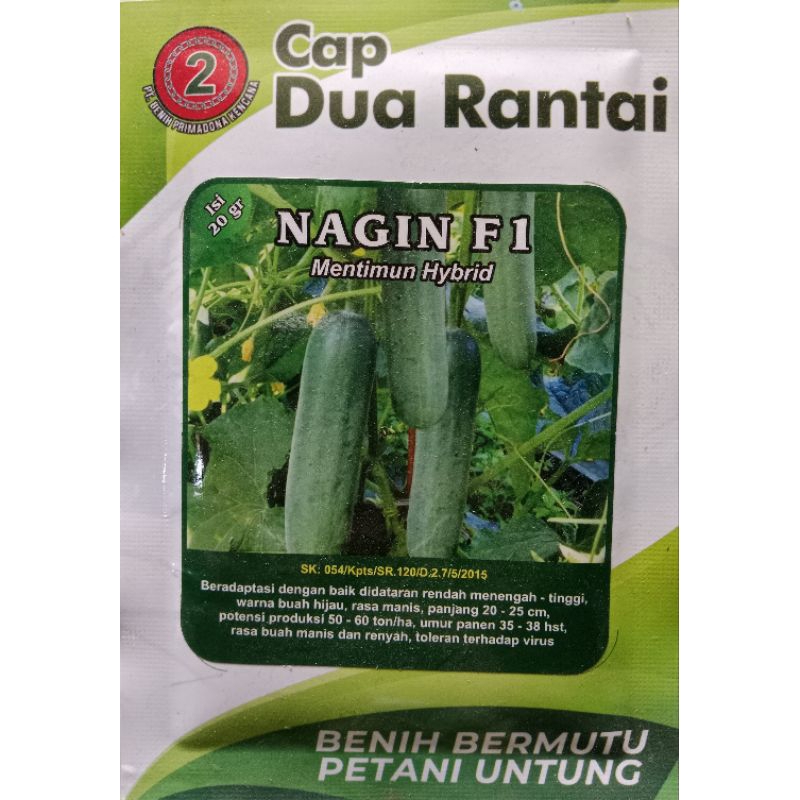 Benih Timun Hibrida NAGIN F1 20gr