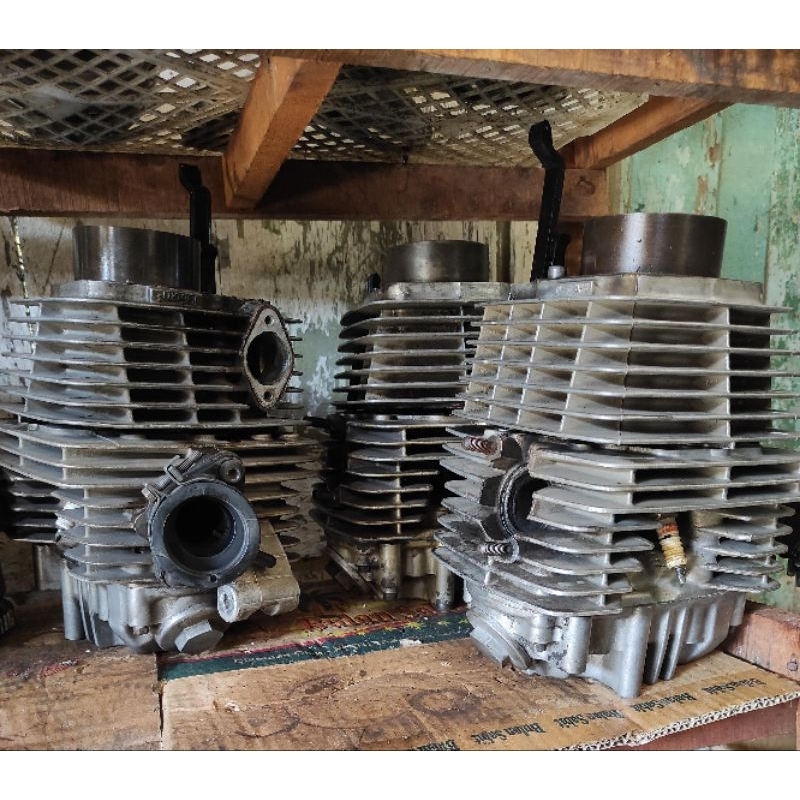 blok head full isi tiger ori copotan