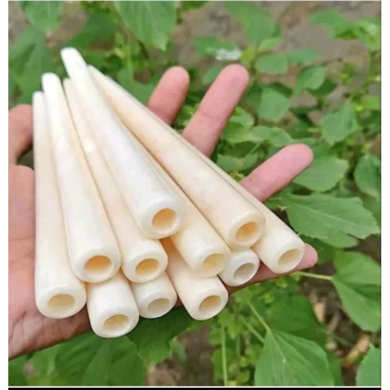 once tulang sapi super/once tulang sapi asli/once kekinian