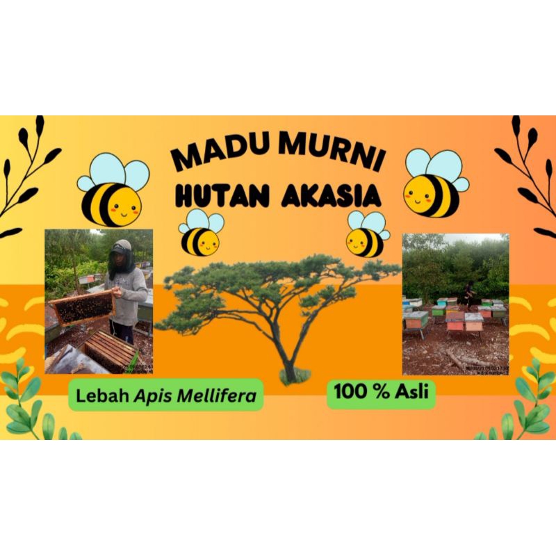 

Madu Murni 100% - 250 ML