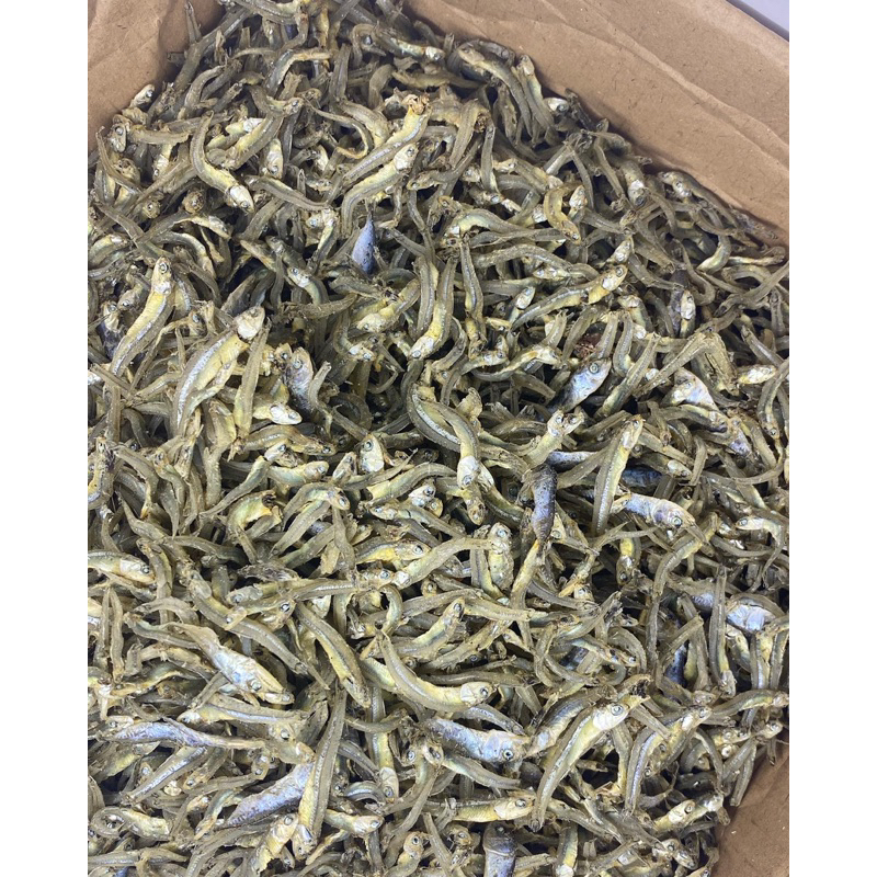 

FISHALTY Ikan Teri Medan Buntio Hitam