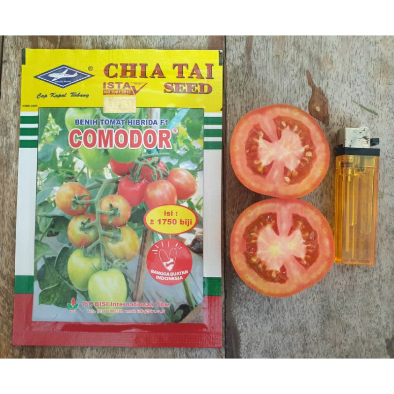 Tomat F1 Hibrida COMODOR Tahan Virus