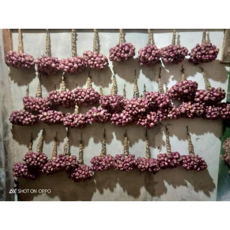 

bawang merah superrr 1 kg