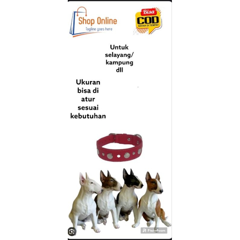 kalung anjing kulit oskar ras selayang kampung dll