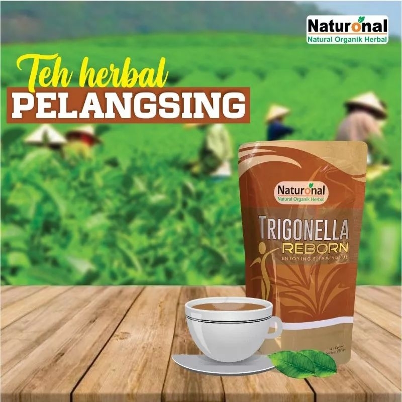 Trigonella Reborn | obat herbal pelangsing asli alami halal