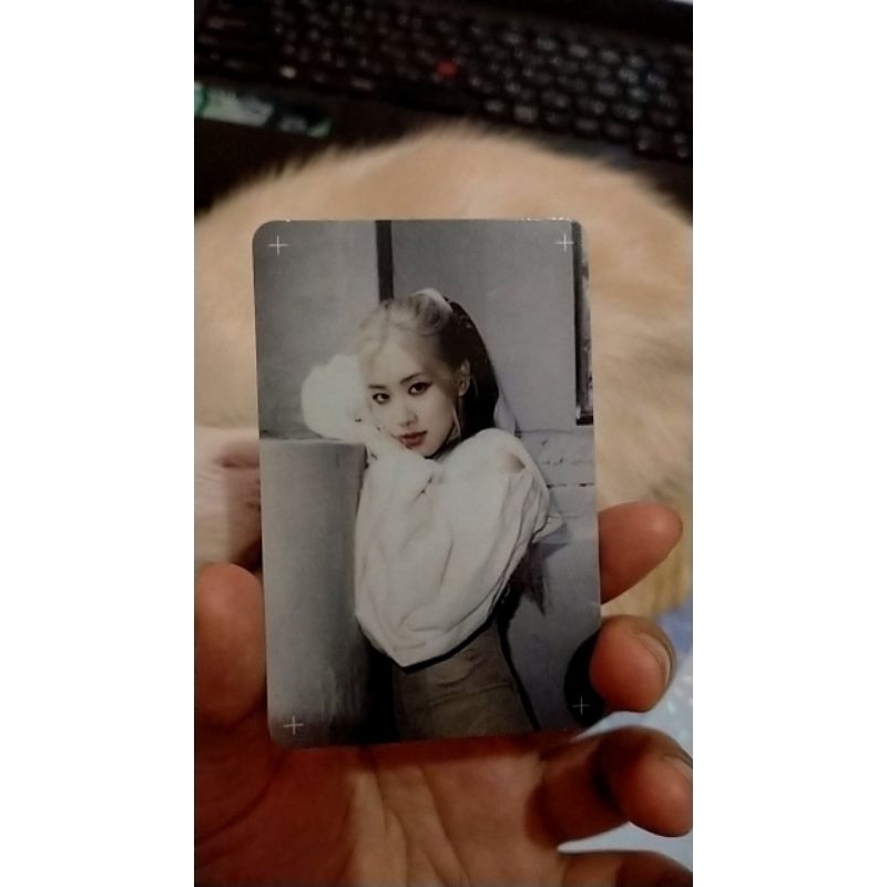 pc rose hylt putih blackpink (booked)