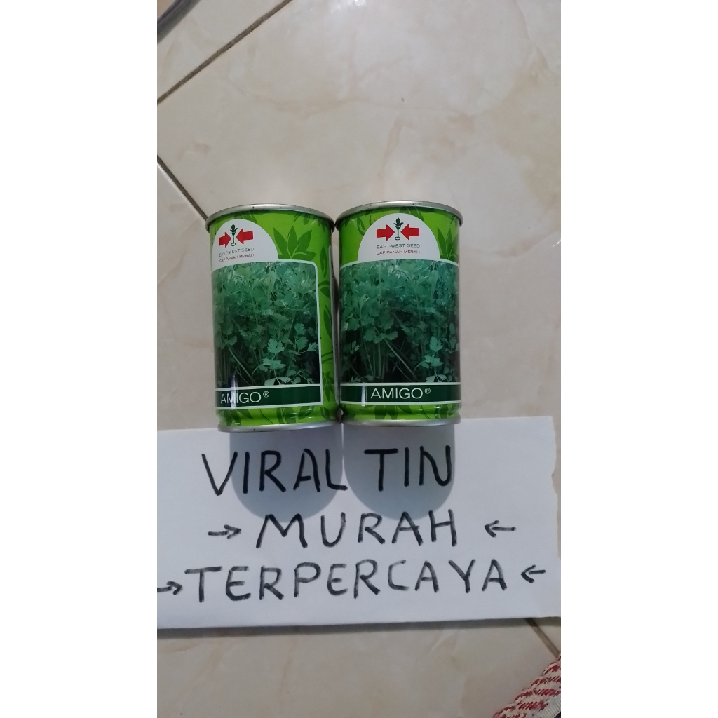 benih seledri amigo F1 cap panah merah kemasan kaleng isi 50 gr