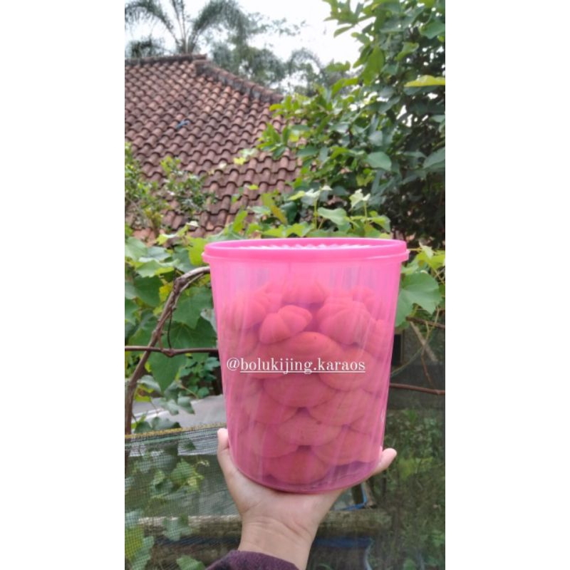 

bolu kijing toples