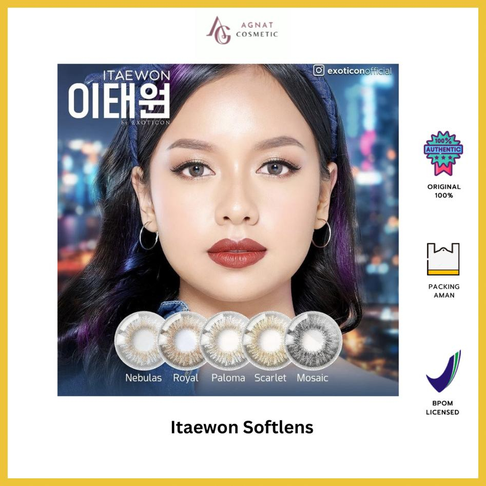 ITAEWON SOFTLENS BY EXOTICON