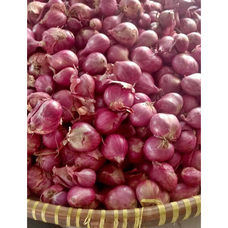 

Bawang Merah Super