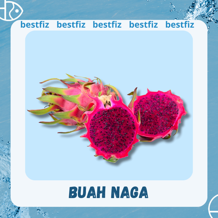 

Buah naga potong