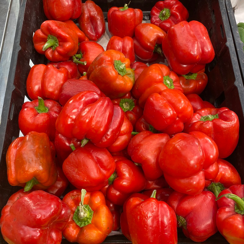 

PAPRIKA MERAH MESIR 1 PCS