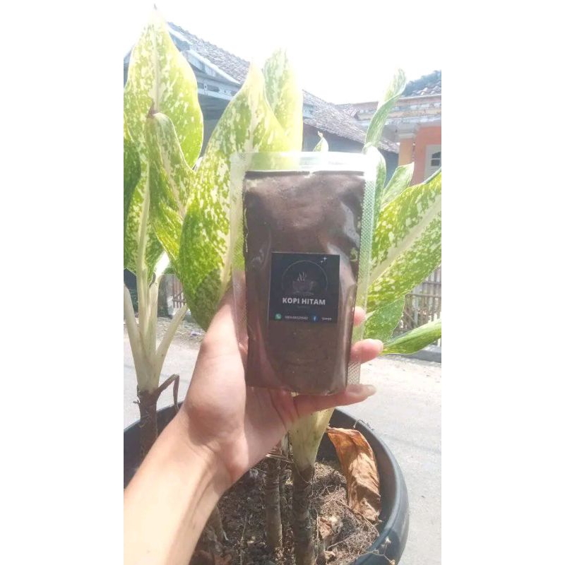 

Kopihitam