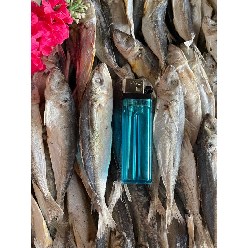 

ikan asin peda k2