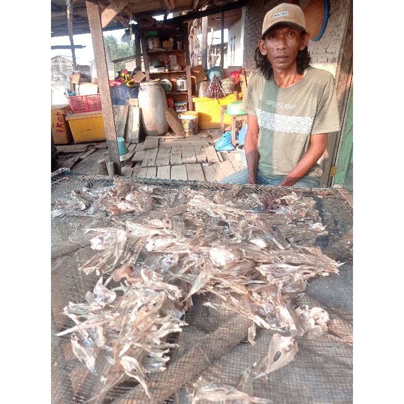 

IKAN KERING ASIN DAN TAWAR