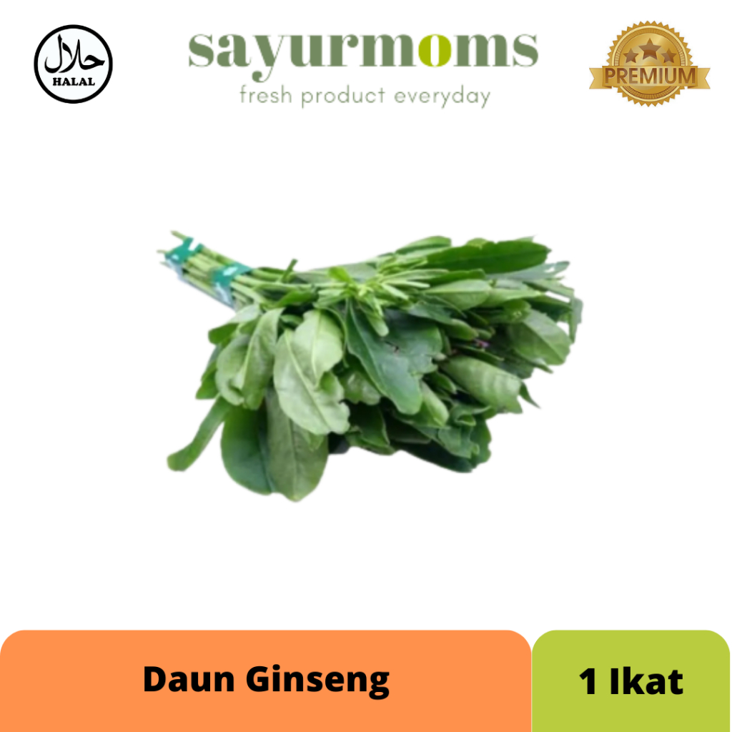 

Daun Gingseng