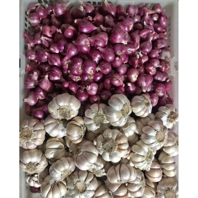 

Campur Bawang putih bawang merah super 1 kg