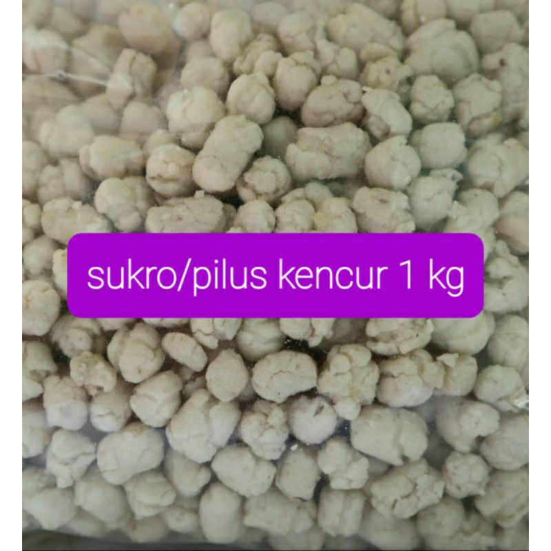 

Sukro Pilus Rasa Kencur 1 kg