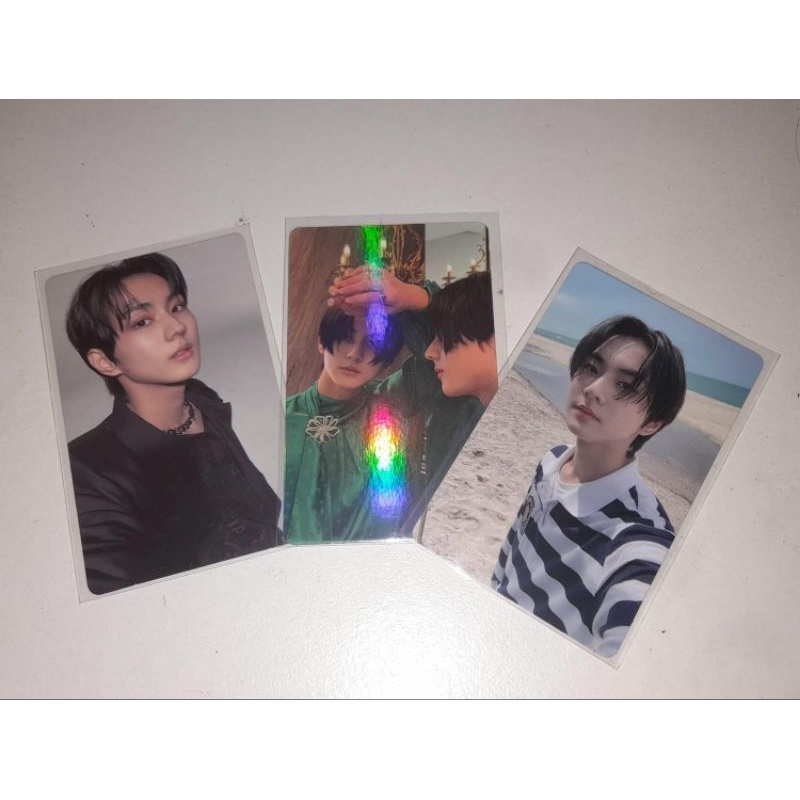 pelunasan pc jungwon bene tamed-dashed bundle