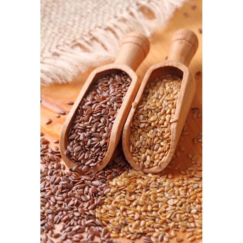 Golden flax seed / Brown flax seed / Biji rami kuning / Biji rami coklat import