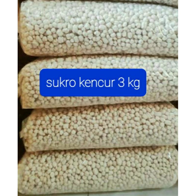 

Pilus Sukro Rasa Kencur 3 kg