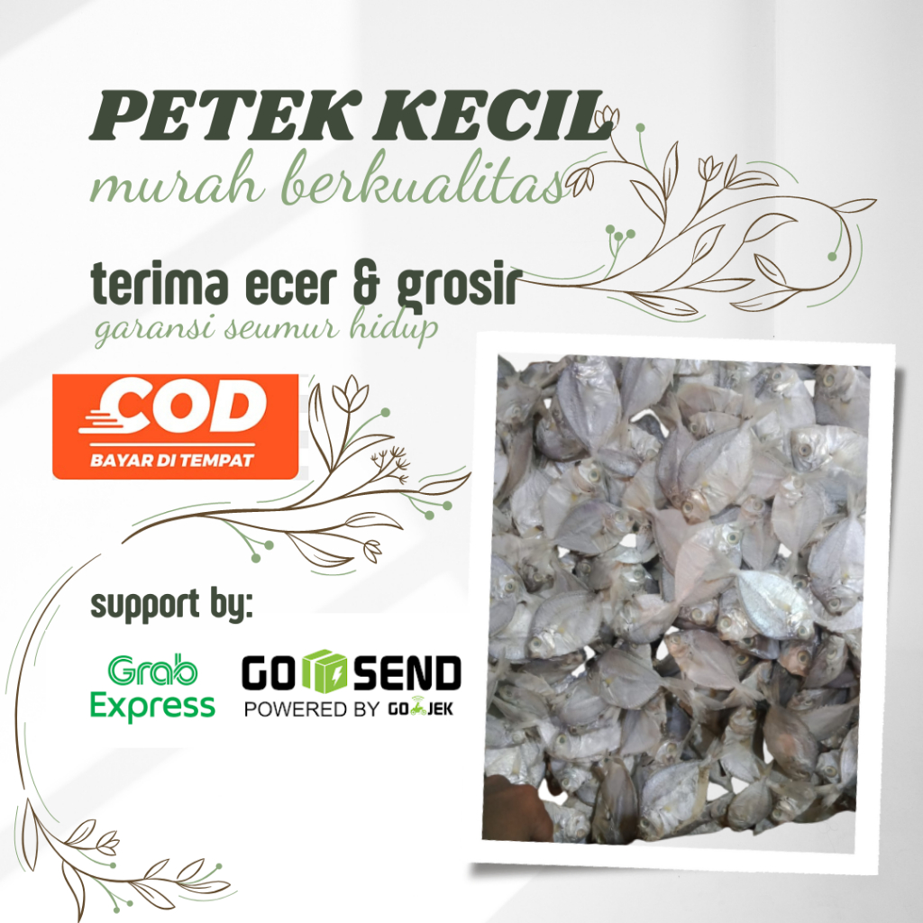 

Ikan Asin Petek-Dodok Kecil 250gr-1kg Kelezatan Asin yang Unik