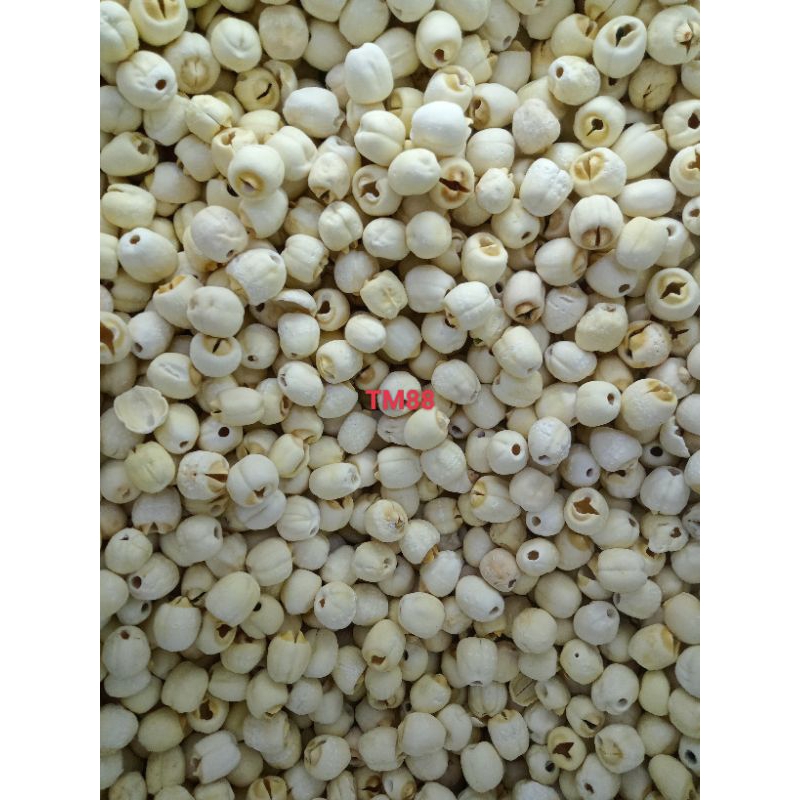 

BIJI TERATAI KERING PREMIUM