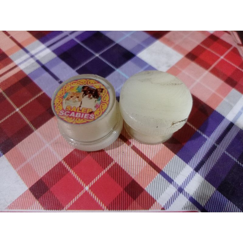 SALEP SCABIES