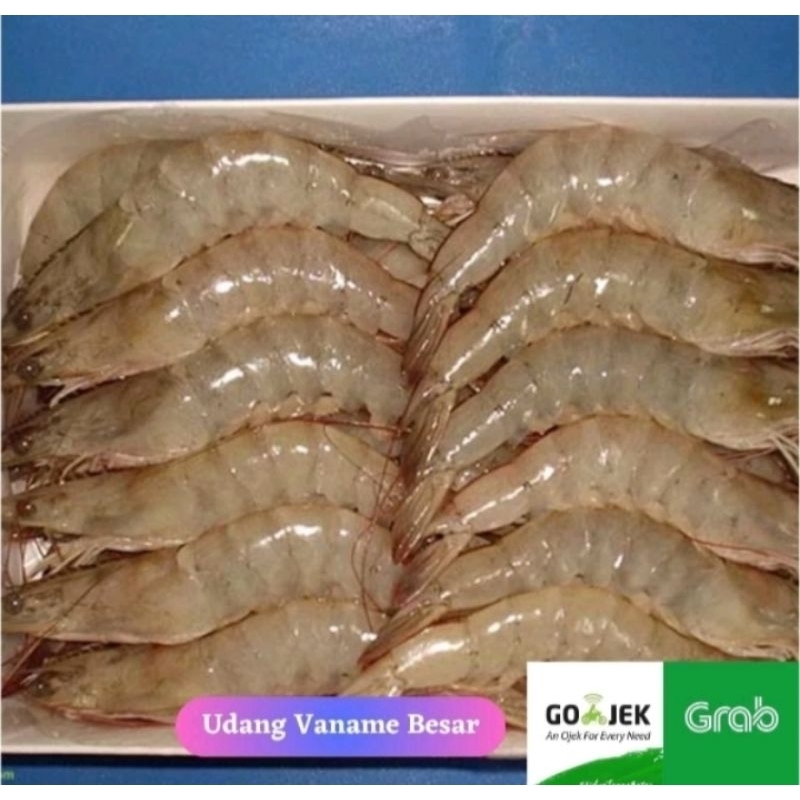 

Udang Vaname Sedang Segar 1Kg