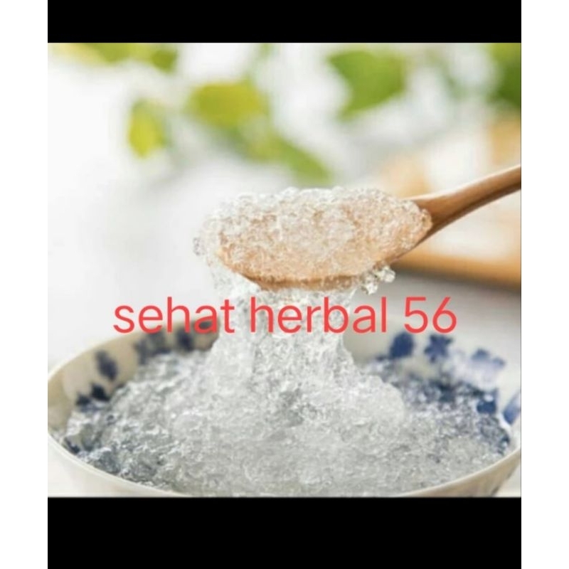 Snow Bird Nest premium 500gram / Xue Yan