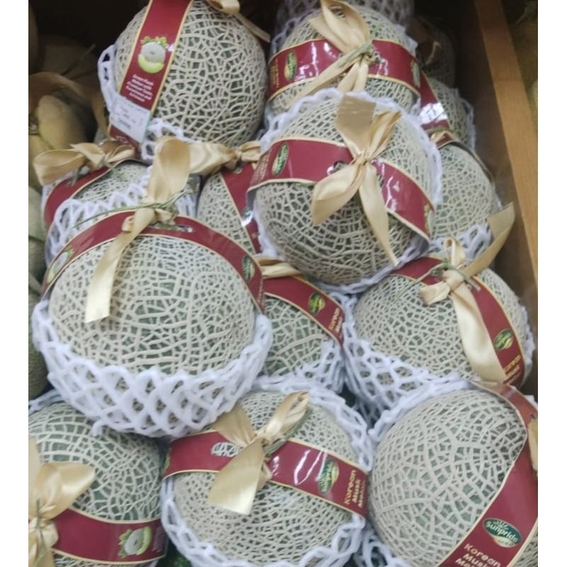 

Melon Korea Sunpride Gold Berat -+ 1,8 Kg