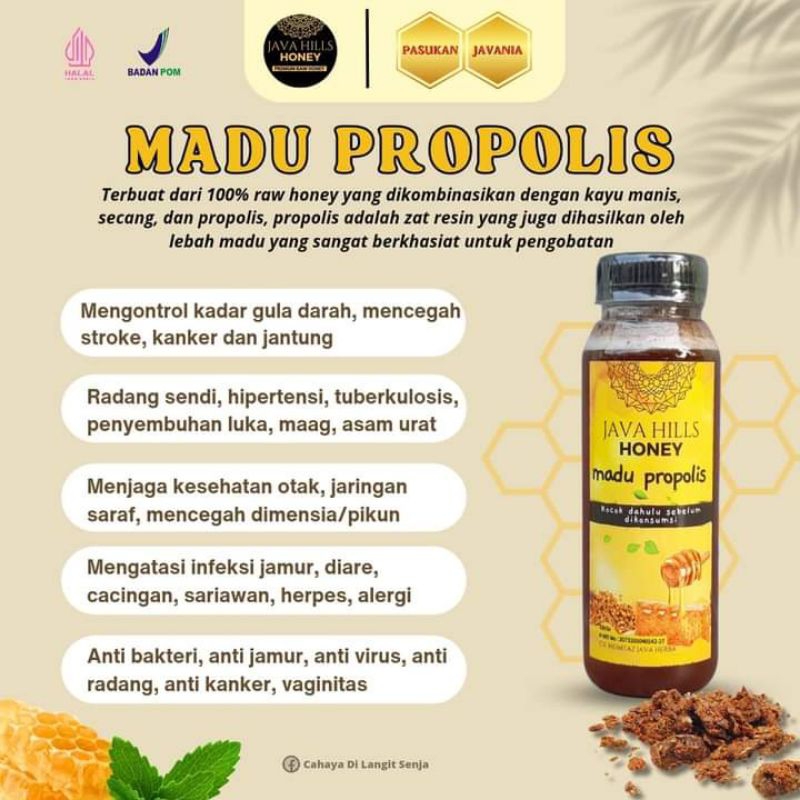 

madu propolis javahills