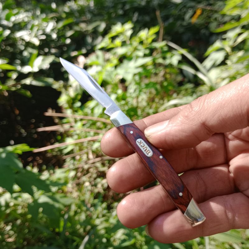 BUCK 379 Solo Knife pisau lipat klasik woodgrain handle 420J2 SS Nickel Silver Bolster