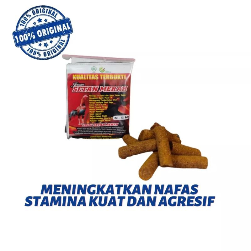 JAMU SETAN MERAH JAMU AYAM ADUAN GALAK DAN AGRESIF