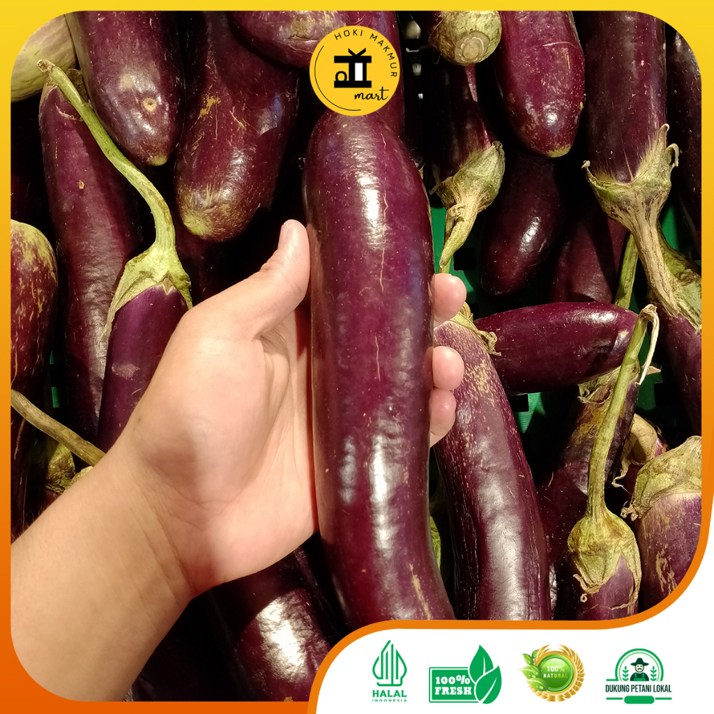 

TERONG UNGU PREMIUM SUPER 1 KG