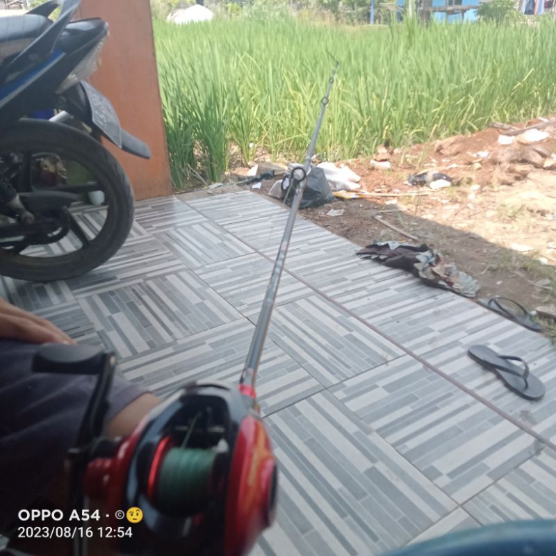 pancing bc