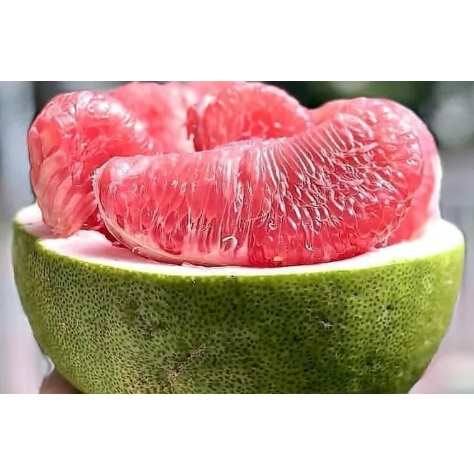 

JERUK BALI PREMIUM SUPER 1 BUAH GRADE A 700-1000 gr