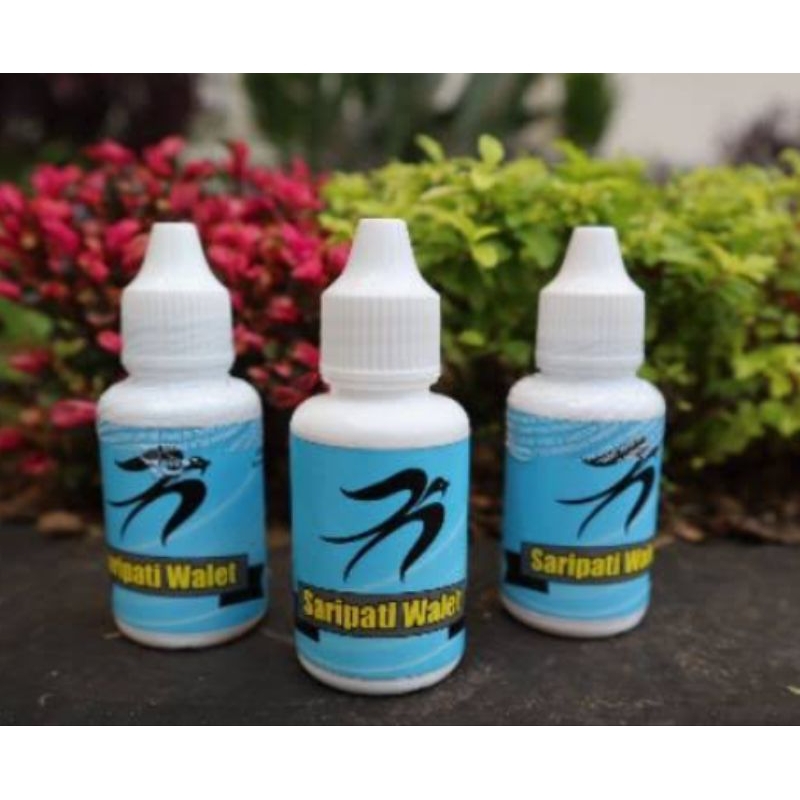 Essen ikan mas indukan