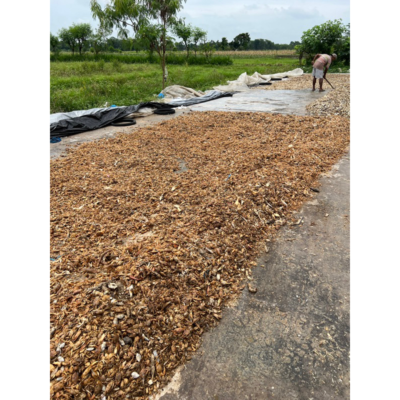 TEPUNG IKAN MURNI 100% ASLI TEPUNG GILINGAN IKAN READY STOK