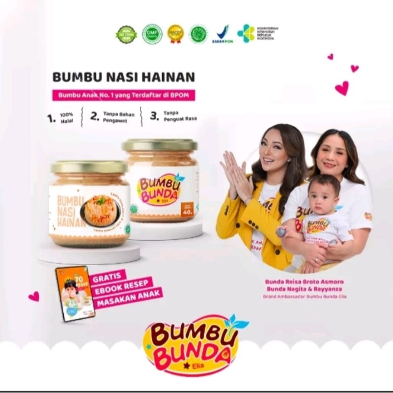 

bumbu bunda elia bumbu nasi hainan