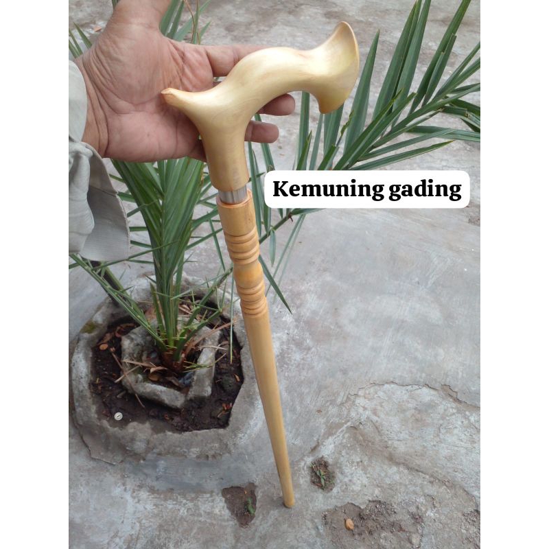tongkat jalan kayu kemuning