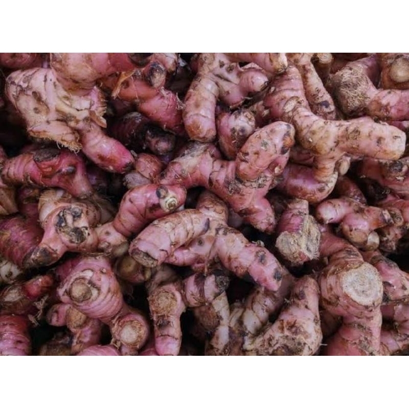 

250 gram Jahe Merah