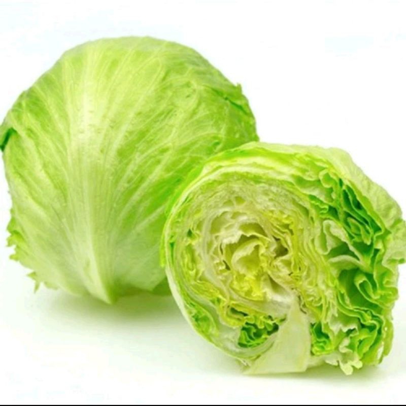 

Letuce