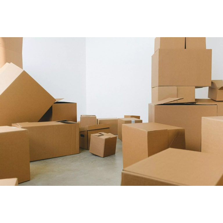 

PACKAGING DUSBOX FREE MINYAK 2LITER