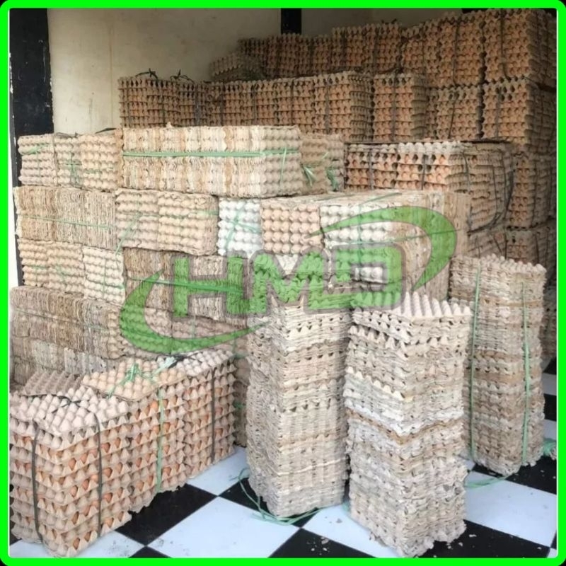 Egg Tray karton Wadah Telor ayam/bebek bekas 1 kali pakai